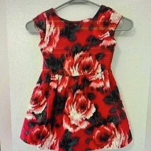 Gap Kids Girls Red Floral Sleeveless A Line Dress